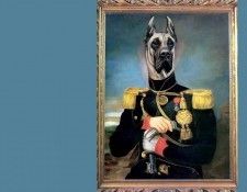 dog portraits csg019 king zoxtor of albania. �������, ������