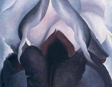 img953. OKeeeffe, ������