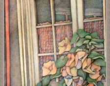 cr Susan Lane Gardener-The Meeting Place. ,  