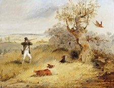 Pheasant Shooting. ,  