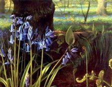 an artists garden csg032. , 