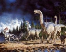 ma Sp7 Bonner Paul Camarasaurs & Ceratosaurs.  