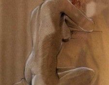 Nu03. Saguez, �����