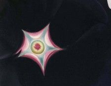 File9329. OKeeeffe, ������