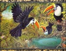 lrsBaseGraeme Waterhole03Toucans. , 