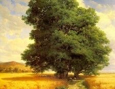 calame1. , 