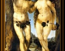 CU022-sofaspud-Gossaert.   
