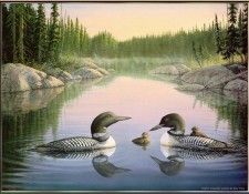 Timm-NorthCountryLoons (sj-art317). ����, ���