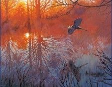 lrsBronikowskiKenneth-GreatBlueHeron. Bronikowski, ������