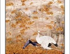 CSCU aping 2k3 wang ke yin 040. ��� ��� ��