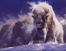 lrsCableLee-HisDivinePresence. ������, ��