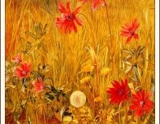 bs-flo- Henry Roderick Newman- Wild Flowers. ,  