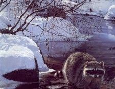 lrs Isaac Terry Cool Pause. �����, �����