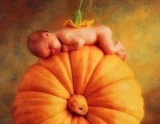 Anne Geddes - Unknown, De. , 