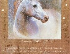 lrsNoelNA-Angels09ElKadere. �����, �. �.