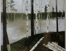 andersson 04 100. ���������, ����� ����