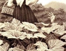 Wb 05 ChrisVanAllsburg sqs. Allsburg,  