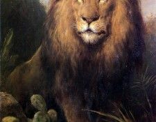 Eerelman Otto Abessynian Lion . Eerelman, 