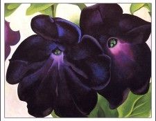 bs-flo- Georgia O Keefe- Black And Purple Petunias.   O