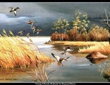 cr MaynardReece020. ���, �������