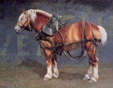 Patricia Bourque - The War Horse, De. Бурк, Патриция