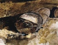 File7267. �����, �����