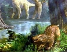 dinosaurs csg004 gobiconodon. ����, �����