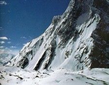 Funny 195. ����� ������ - ���� �����