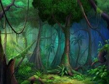 rainforest large. , 