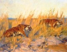 06422. �����, �����