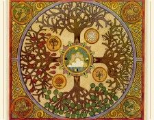 Dillon Season01 sj. ������, �����