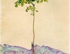 Schiele Little Tree (Chesnut Tree at Lake Constance), 1912, . , 