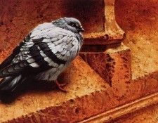 Donald Curley - On the Edge, De. �����, �������