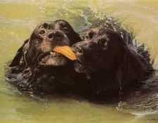 kb Weiss John-Retrievers. , 