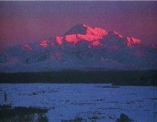 Funny 169. ����� ������ - ���� �����