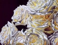 lrs Sallin Sandra Wht Shadows. Sallin, ������