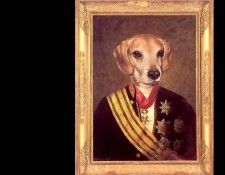dog portraits csg059 baron lutz von wag. �������, ������