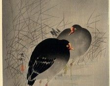 pic09372. �����