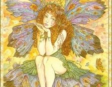 John Arthur - Raina The Fairy Princess (Abraxsis).  
