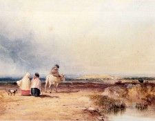 40964. ����, �����