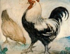 16512. Pinole, �������