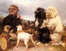 Ansdell Richard The Lucky Dogs. Ansdell, 