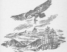 am chapter33. , 