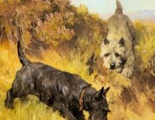 Wardle Arthur Two Scotties In A Landscape. , 