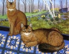 kb Vang Olsen Mimi J. ,  