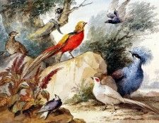 Schouman Aert Birds in landscape Sun. Schouman, 