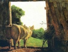 File8966. Wyeth, 