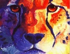 lrs St Clair Lyn Cheetah. ����, ���