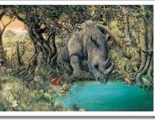 43704. ����, ����