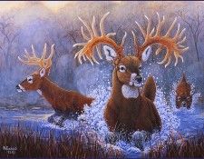 bs-na- Roger A Simmons- Thirty Pointer. , 